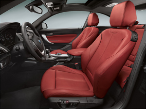 2015 BMW 2 Series Coupe Interior